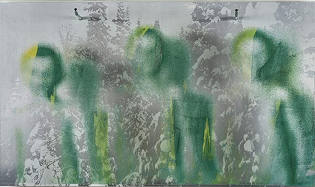 Indigiounus shaddows